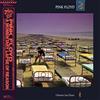 VIDOL Momentary Lapse Of Reason