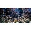 MIRRORANG 120x46cm Sfondo Acquario Tropicale Pietra Roccia Sfondo Acquario Sottomarino