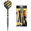Target Darts Dimitri Van den Bergh Dream Maker - Set di Freccette con Punta Morbida in tungsteno, 20 g, 80%