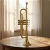 Tromba in Si Bemolle Tre Pistoni Ottone Dorata per Esercitazione, Concerti