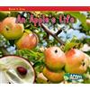 Nancy Dickmann Watch it Grow an Apples Life (Tascabile)