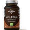 Hifas da Terra Mico-Chaga, prodotto biologico, 70 capsule