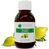 VOSHUILES.COM HUILES ESSENTIELLES & VEGE VOSHUILES - Olio Vegetale di Argan - 100ml | 100% Puro e Naturale - Spremuto a Freddo - Ricco di Acidi Grassi