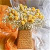 Best ZOIKOM Gypsophila Essiccata Composizione Fiori Secchi,Fiori Secchi Decorativi, 40-44 cm, Fiori Secchi Decorativi per Vaso per Matrimoni, Feste, Decorazioni Boho