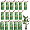 LYPER Nastro adesivo per mosche, nastro adesivo per mosche, per uso interno ed esterno, ecologico (16)