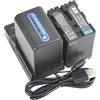 DSTE - Batteria agli ioni di litio e caricatore micro USB, compatibile con Sony NP-QM91D, CCD-TRV108E, CCD-TRV118, CCD-TRV126, CCD-TRV218E, CCD TRV308, confezione da 2