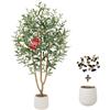Keeplush Albero di Ulivo Artificiale di 6 Piedi, Grande Albero di Ulivo Sintetico con Vaso Alto Bianco, Albero Finto per Interni con Frutti Realistici e Lussureggianti per Soggiorno, Camera da Letto