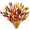 CEWUDA 100 Pezzi Mazzi Fiori Secchi Autunnali Erba di Pampas Essiccata Bunny Tails Spighe di Grano Naturali Fiori Secchi Decorativi Bouquet Fiori Essiccati per Interno Home Matrimoni Feste Boho Decor