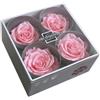 Verde stabilizzato Box 2x2 Rose Stabilizzate Made in Italy - Disponibile in Diversi Colori - 4 Rose Eterne Fiori Stabilizzati - Elegante Bouquet di Fiori Veri | Idea Regalo e Decorazioni (4 Rosa Pastello)