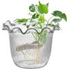 Genérico Vaso per fiori trasparente Contenitore Per Di Coltivazione | Fioriera Decorativa Da Piante Acquatiche Contenitore Fiori Secchi Centrotavola Matrimonio Tavola Pranzo Ristorante Hotel