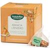 artigiano Neavita Infuso Arancia E Zenzero 15 Filtroscrigno