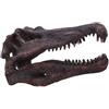 Nemesis Now Statua di teschio di dinosauro, idea regalo e decorazione per appassionati e collezionisti di paleontologia, in resina dipinta a mano, motivo: Spinosauro