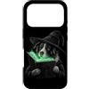 Halloween Witch Border Collie Dog Owner Custodia per iPhone 17 Pro Border Collie Halloween amante dei cani Spooky Witch Border Collie