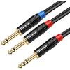 Disino Cavo splitter a Y stereo TRS da 0,6 cm, da jack maschio da 1/4 a doppio maschio TS mono da 6,35 mm, cavo patch audio da 1 metro