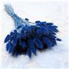 Enchanted Dekogras - Erba secca ornamentale a coda di coniglio, Lagurus Ovatus, erba di velluto, erba della coda di coniglio, fiori secchi, naturale, boho, 120 - 150 pezzi, 100 g, blu scuro