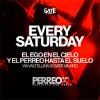52733 PERREO XL