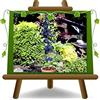 EURO PLANTS VIVAI Susino Nano Precoce Pianta da Frutto età 2 anni | Autofertile, compatto di facile coltivazione - Vaso 20 cm Altezza 60-80 cm