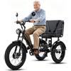 Generic Triciclo elettrico a 3 ruote per adulti con pneumatici larghi da 24 pollici, ideale per anziani e per l'uso quotidiano in città.