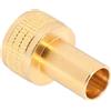 LALADEFIEE Vite di Giunzione per Stecca da Biliardo in Ottone Oro | Connessione Sicura, Installazione Semplice, Uso Versatile, per Stecca da Biliardo e Stecca da Snooker
