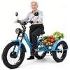 Generic Triciclo elettrico adulti, 24 pollici, portata 200 kg, cestino posteriore regolabile in altezza.