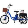Generic Triciclo elettrico da carico per adulti, 20 pollici, a pedalata assistita, per uso quotidiano
