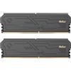 Netac DDR4 RAM 32GB Kit (2x16GB) 3200MHz DRAM 288-Pin UDIMM memoria desktop CL16-20-20-40 1.35V Intel XMP 2.0 computer memoria Nero