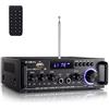 Etlephe 298 Pro Mini Amplificatore Bluetooth 5.0, Audio HiFi a 2 Canali, Max 500 W x 2 RMS, 50 W x 2, Ricevitore Stereo Con Alti e Bassi, USB/RCA/MIC/FM