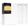Elan Tela per Dipingere 20x30 cm, Set di 6 Tele da Pittura 380 GSM | Tele per Dipingere con Tripla Imprimitura, Senza Acidi, 100% Cotone Naturale, Ideali per Pittura a Olio