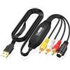 Lapiglo Scheda di acquisizione video USB per nastri VHS e videocamere - per RCA AV a convertitore digitale NTSC per pal SECAM 1 m (testa maschio AV)