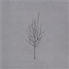 Low Ones and Sixes (CD) Album