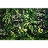 MIRRORANG 61x30cm Piante Tropicali Sfondo Acquario Foglie Verdi Tropicali Fiori Terrario Sfondo Foresta pluviale Rettile Habitat Sfondo