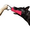 DINGO GEAR WWW.DINGOGEAR.COM 1977 Dingo Gear S00309 - Salsiccia in Cotone e Nylon per addestramento dei Cani, IGP IPO Obiedence per Cani, 28 x 7 cm, 1 Manico Rosa