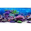 MIRRORANG 61x30cm Durevole Vinile Subacqueo Tema Acquario Sfondo Colorato Corallo Pesce Tropicale Sottomarino Mondo Pesce Serbatoio Poster Sfondo