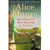 Alice Munro Something I've Been Meaning to Tell You (Tascabile)