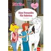 Vincent Andreas Bibi & Tina - Eine Freundin für Sabrina: Lese (Copertina rigida)