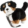Teddys Rothenburg Uni-Toys - Cane di peluche con guinzaglio, 23 cm, colore: marrone/nero/bianco