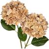Briful - Fiori artificiali di ortensia, tocco realistico, fiori di ortensia 63 cm di colore rosa marrone, fiori finti con gambo lungo per esterni, giardino, matrimonio, decorazione della casa
