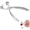 LBQUTN Snocciolatore per Ciliegie Professionale, Togli Nocciolo Ciliegie Manuale in Acciaio Inox e ABS, Denocciolatore per Ciliegie, Olive e Amarene, Utensile da Cucina per Rimozione Rapida dei Noccioli