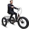 Generic Triciclo adulti con pneumatici larghi da 20 pollici e 7 velocità, ideale per shopping e campeggio.