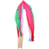 NUOBESTY 5 Pezzi Nastro Ginnico per Danza Artistica, Bastone in Legno | Ginnastica e Allenamento di Squadra, Tessuto Resistente, Facile da Impugnare Ruotare Colore Casuale