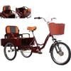 Generic Triciclo pieghevole a 3 ruote da 20 pollici per adulti, ideale per il trasporto di merci, la spesa e i picnic.