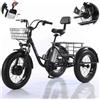 Generic Triciclo elettrico per adulti con pneumatici larghi, 3 velocità, 20 pollici, fuoristrada, batteria rimovibile
