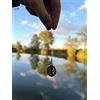 Generico Fake Boilies PETG 23mm Anti-Tartaruga per Pesca Storione - Carpfishing (10Pz)