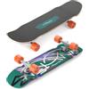 Loaded Skateboard completo Bolsa II Jazz Graphic Carver CX - 31 - Tavola in bambù e fibra di vetro - Design colorato - ideale per Carving, Cruising e Skatepark - per piloti di tutti i livelli