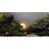 MIRRORANG 120x46cm Fiume Letto & Lago Acquario Sfondo Sole Pianta Acquatica Acquario Sfondo Vinile