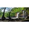 MIRRORANG 120x50cm Cascata Terrario Sfondo Tropicale Foresta pluviale Acquario Sfondo Lago Pietra Roccioso Rettile Habitat Sfondo Durevole Vinile Sfondo