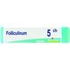 BOIRON Srl BO.FOLLICULINUM 5CH GL