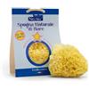 FITOBUCANEVE Srl Baby neutra spugna naturale di mare 12/48 mesi
