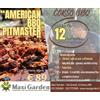 Corso Bbq Sabato 12 Settembre dalle 9:30 alle 15:30 "AMERICAN BBQ PITMASTER"