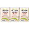 Collagene Skin 3 pezzi x 321 gr - WHY NATURE